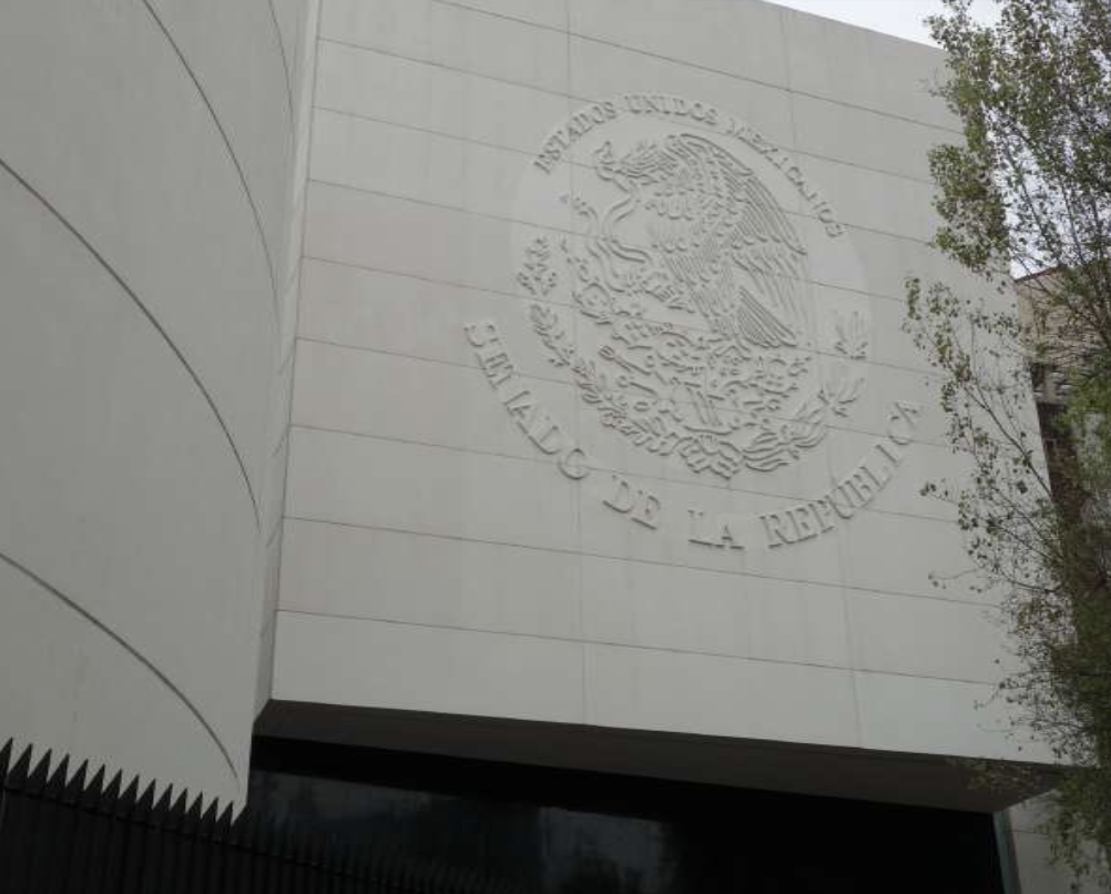 La Comisionada Blanca Lilia Ibarra afirma que el desarrollo de la IA debe asegurar la protección de datos personales.