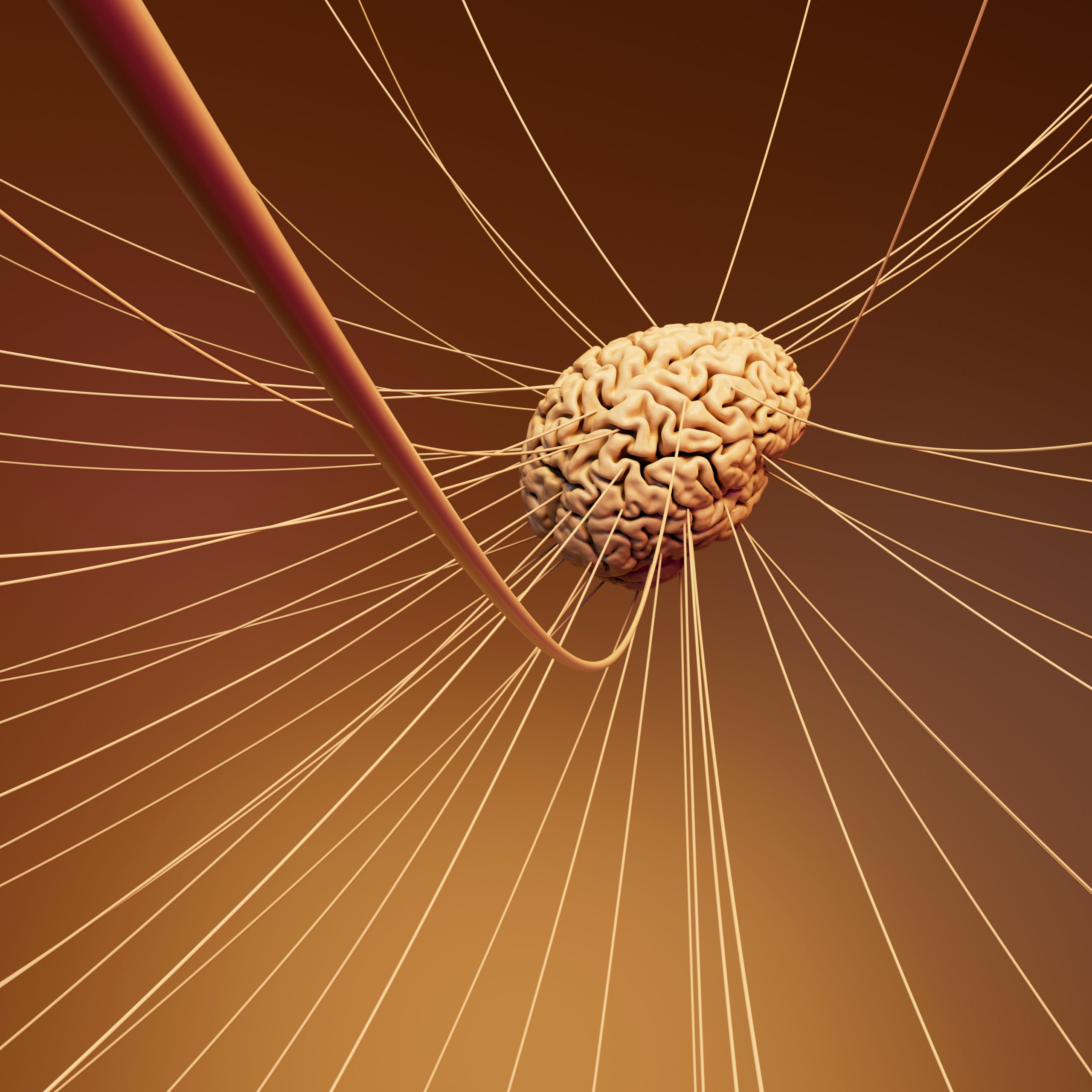 GPA: Publican resolución sobre principios relativos al tratamiento de datos en materia de neurotecnologías y neurociencias